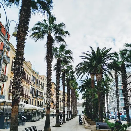 Roof Garden Di Charme 3* باري